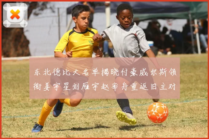 东北德比大名单揭晓付豪威尔斯领衔姜宇星刘雁宇赵率舟重返旧主对决