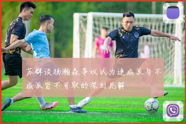 苏群谈杨瀚森争议认为速成派与不成派皆不可取的深刻见解