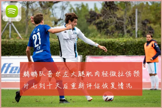 鹈鹕队普尔左大腿肌肉轻微拉伤预计七到十天后重新评估恢复情况